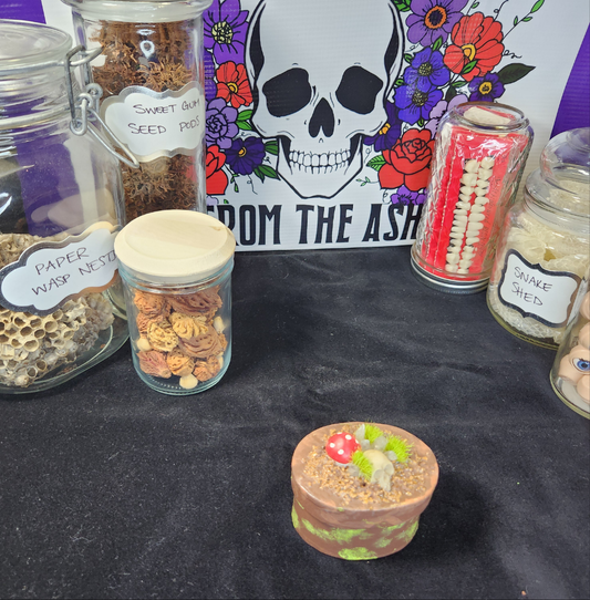 Spooky Cottage Core Box